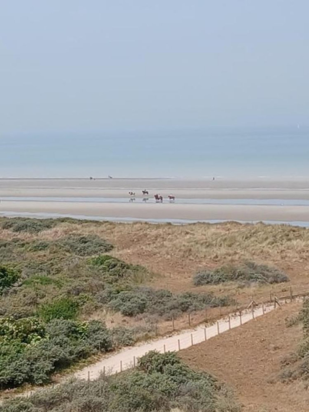 Huizenruil: Appartement in De Panne
