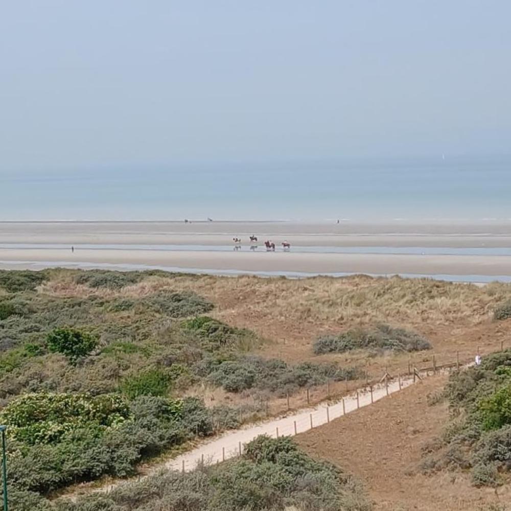 Huizenruil: Appartement in De panne
