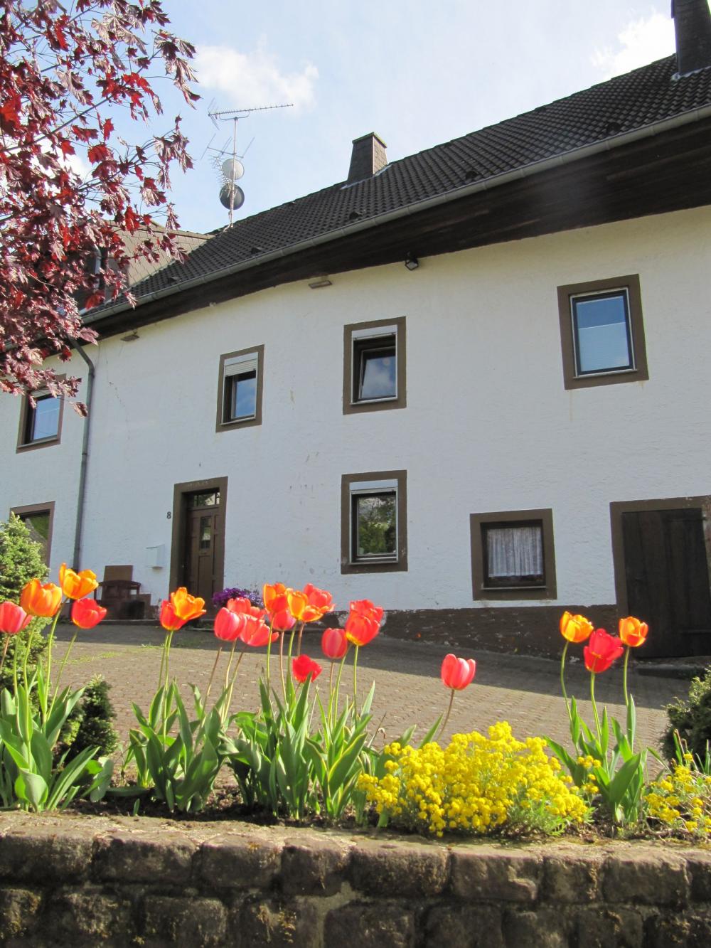 Huizenruil: Vakantiehuis in Weidenbach